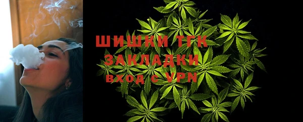 ешки Аркадак