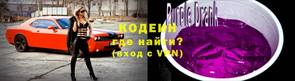 ПСИЛОЦИБИНОВЫЕ ГРИБЫ Арсеньев