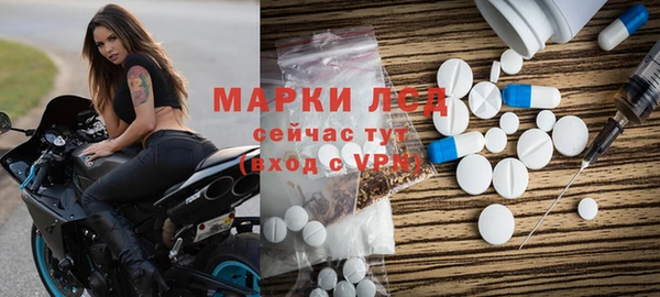 ПСИЛОЦИБИНОВЫЕ ГРИБЫ Арсеньев