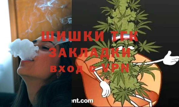 ешки Аркадак