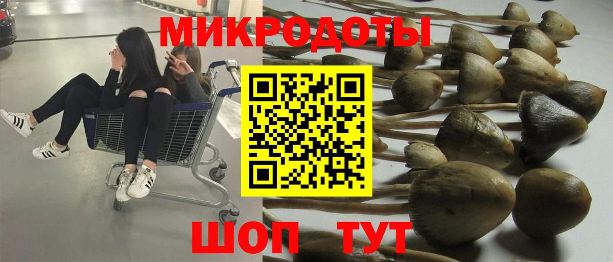 Кирово-Чепецк  Псилоцибиновые грибы Psilocybine cubensis  Вход с VPN 