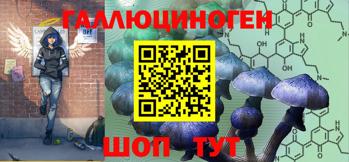 Галлюциногенные грибы Psilocybe Кирово-Чепецк